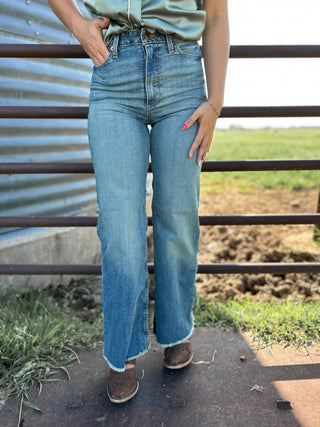 Person wearing blue jeans standing in front of a metal fence with grass and dirt in the background.