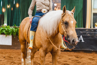 Lucky Chuck "Desert Spirit Cowgirl" Socks {Yellow}