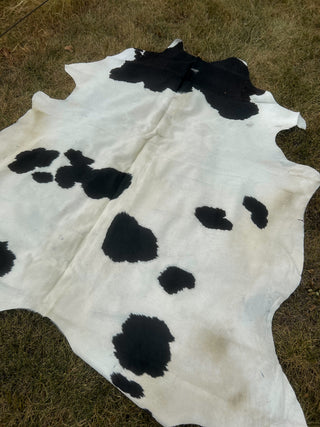 DOORBUSTER The Holstein Cowhide