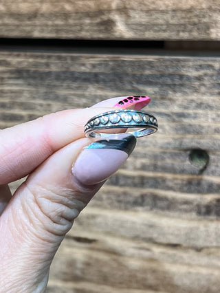 The Wagner Ring 2
