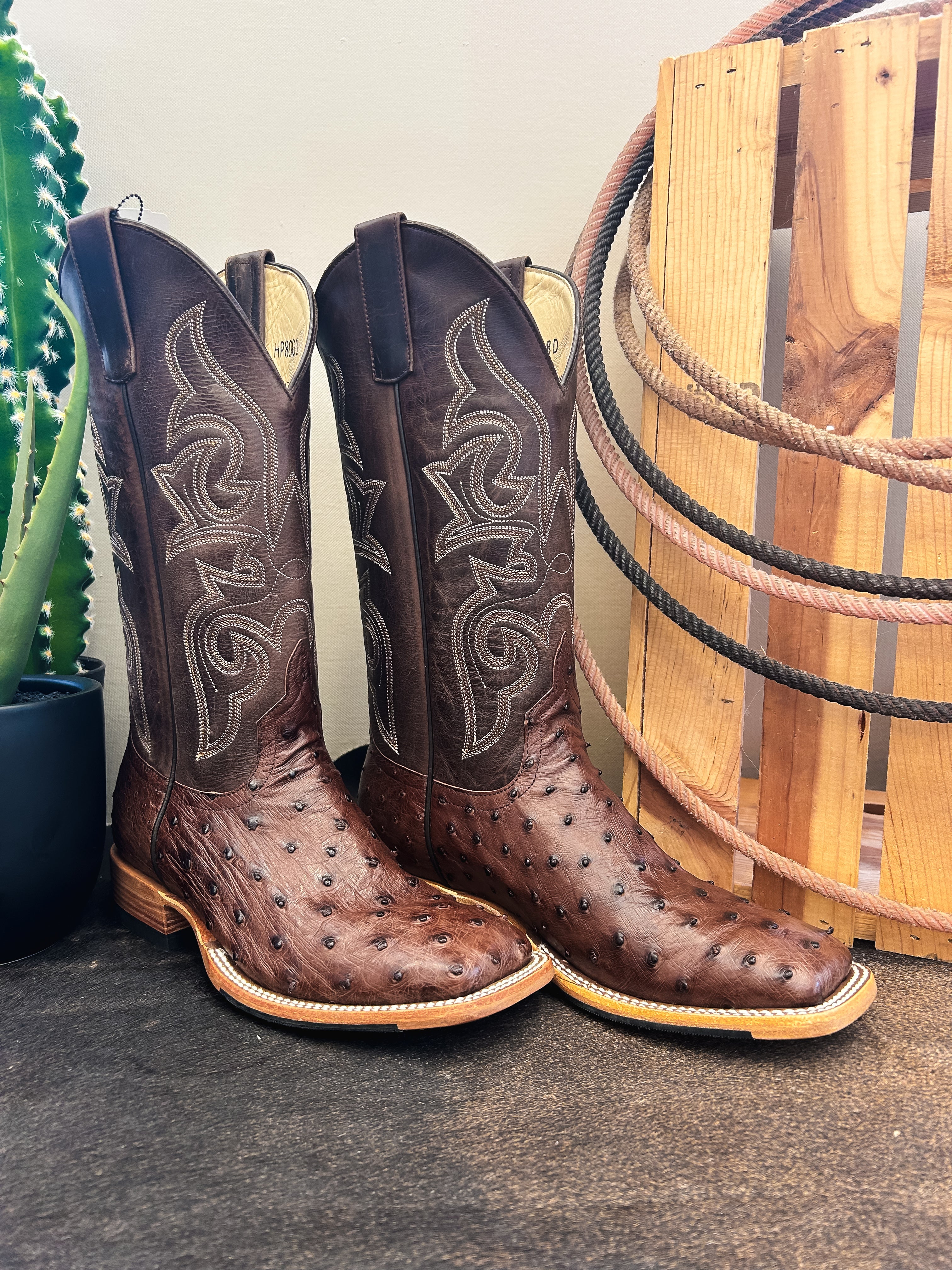 The Ostrich Square Toe Boot {Brown} – Hawk Western Wear