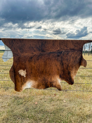 DOORBUSTER Red Brindle Cowhide