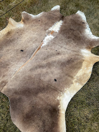 DOORBUSTER The Beige Brindle Cowhide