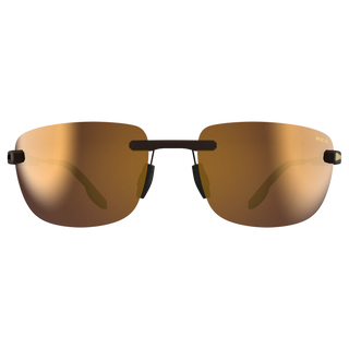 Bex Brackley X Sunglasses {Tortoise/Brown/Gold}