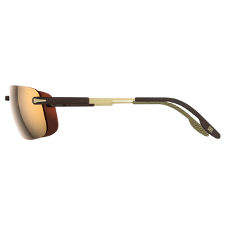 Bex Brackley X Sunglasses {Tortoise/Brown/Gold}