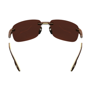 Bex Brackley X Sunglasses {Tortoise/Brown/Gold}