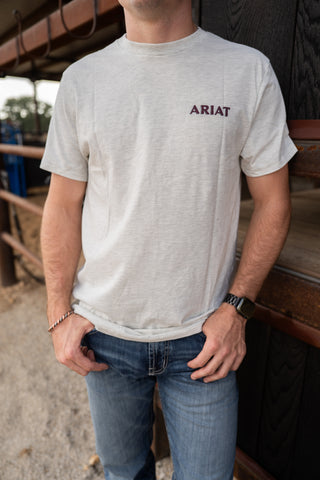 Person wearing a gray t-shirt with 'Ariat' logo and blue jeans outdoors.