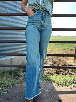 Person wearing blue jeans standing next to a metal fence with a grassy field in the background