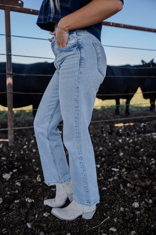 Person wearing light blue jeans standing in a fenced area with animals in the background