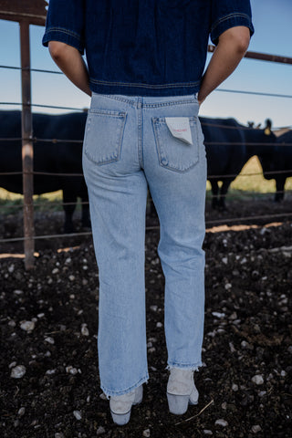 Person wearing light blue jeans and a dark shirt standing in front of a fence with animals.