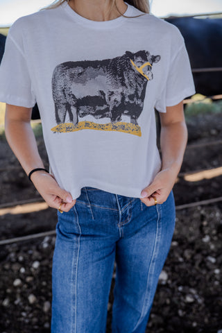 Person wearing a t-shirt with a cow graphic on a track background