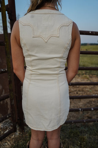 Person wearing a beige dress standing in front of a metal gate with a field in the background