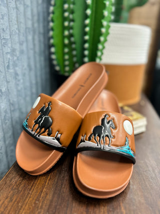 Brown sandals with horse design on a wooden surface with a cactus in the background